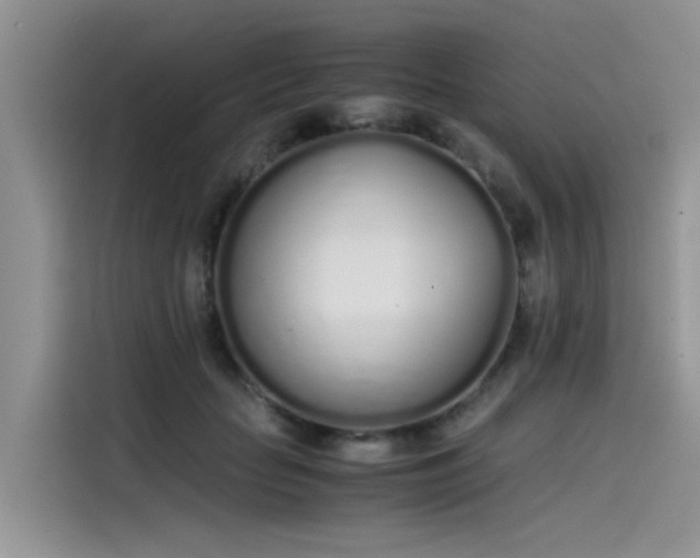 X0000115620653200911171317