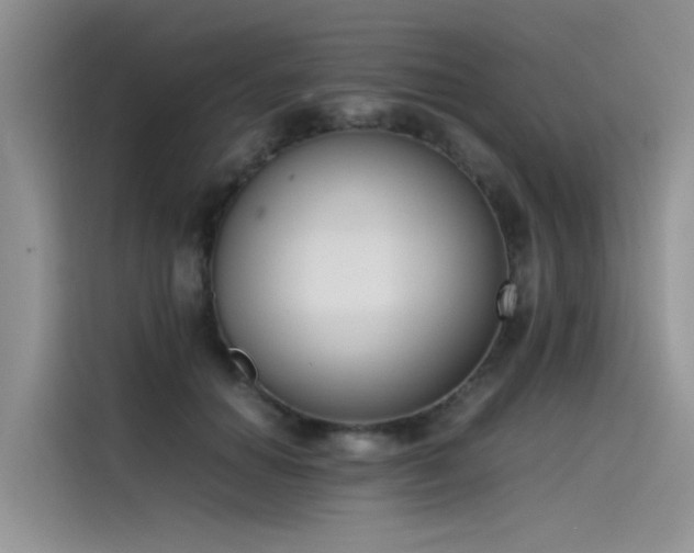 X0000115620654200911171317