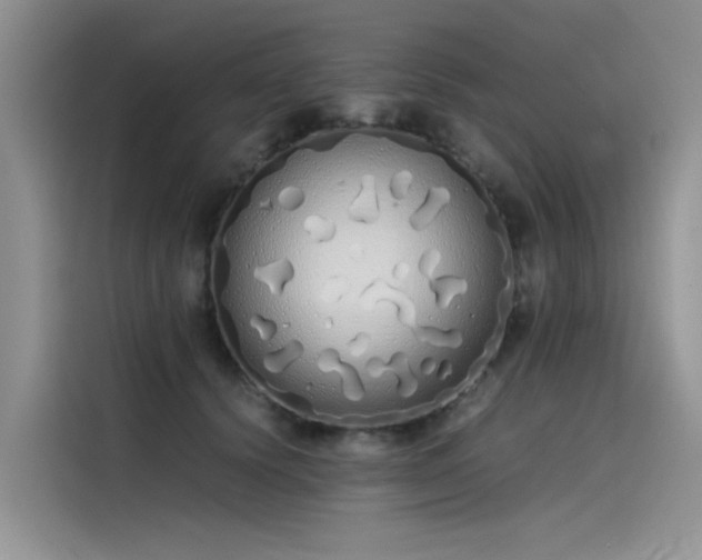 X0000115620656200911171317