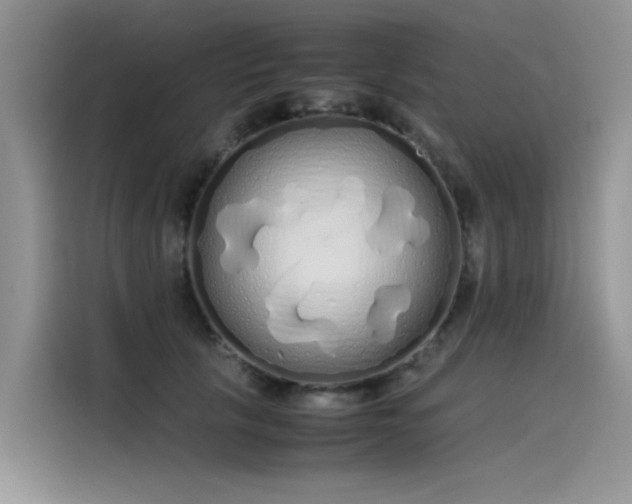 X0000115620657200911171317