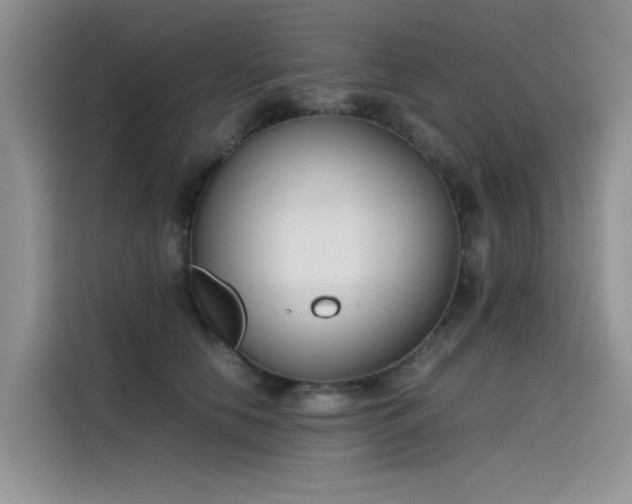 X0000115620658200911171317