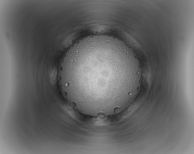 X0000115620660200911171317