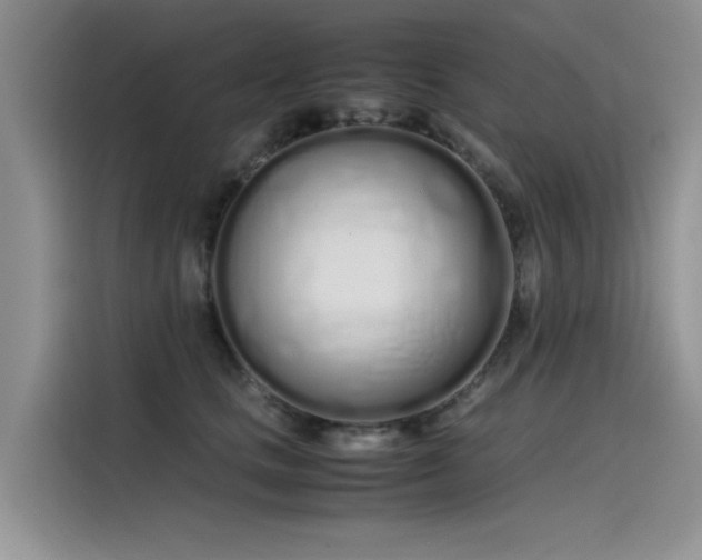 X0000115620661200911171317