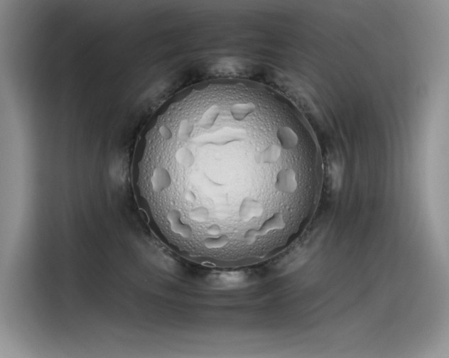 X0000115620665200911171317