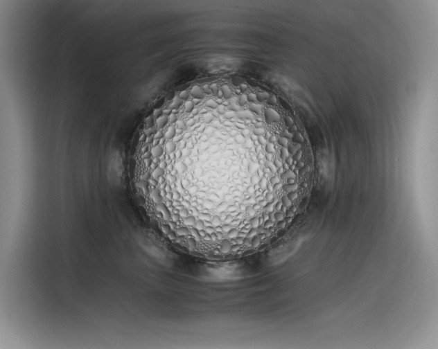 X0000115620667200911171317