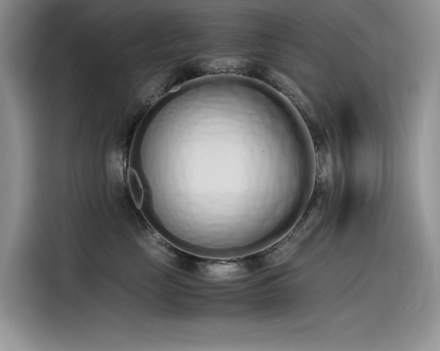 X0000115620669200911171317