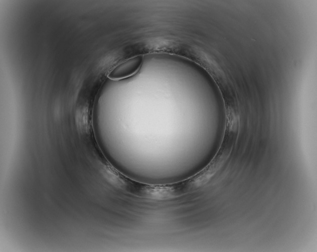 X0000115620670200911171317