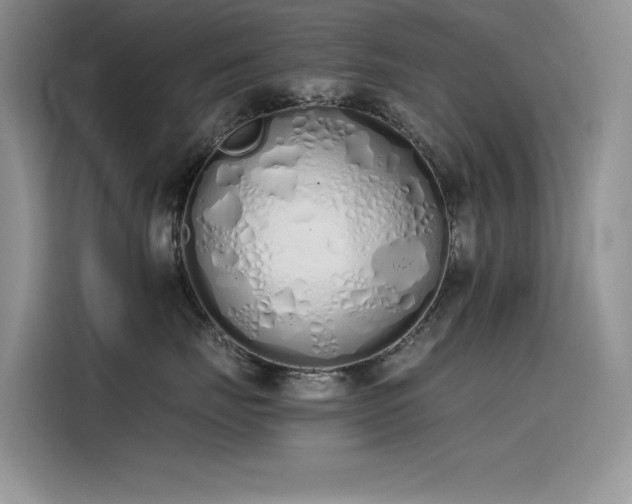 X0000115620671200911171317