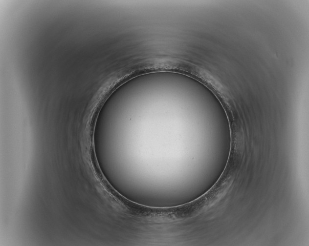 X0000115620673200911171316