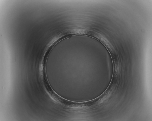 X0000115620674200911171316