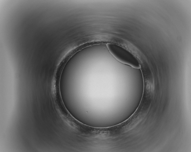 X0000115620676200911171316