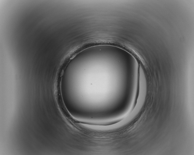 X0000115620677200911171316