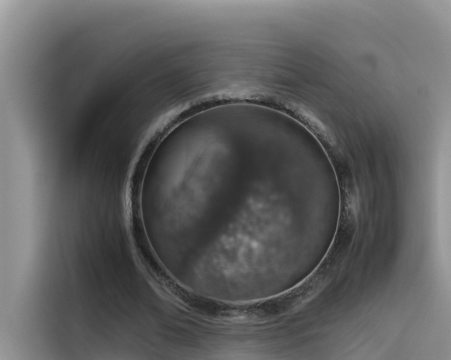 X0000115620678200911171316