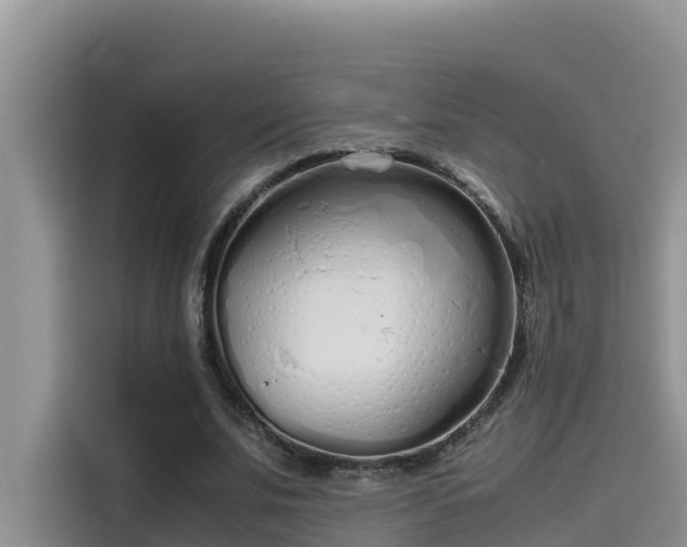 X0000115620679200911171316