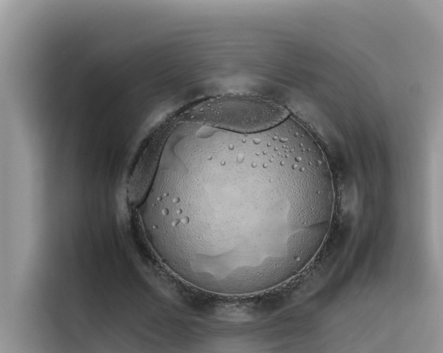 X0000115620680200911171316