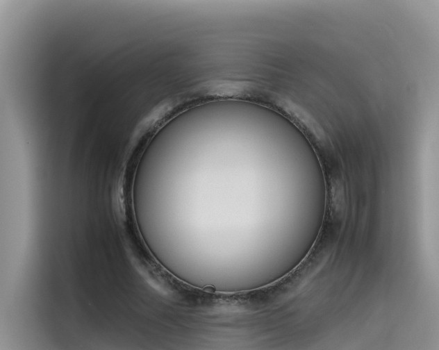 X0000115620682200911171316