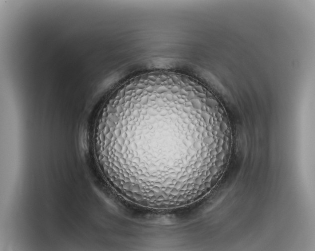 X0000115620683200911171316