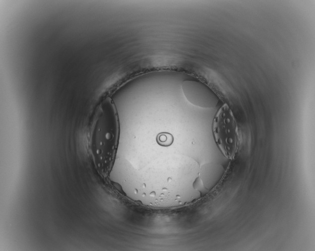 X0000115620684200911171316