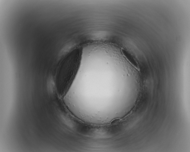 X0000115620688200911171316