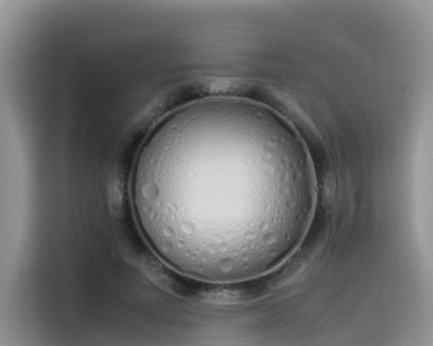 X0000115620691200911171316