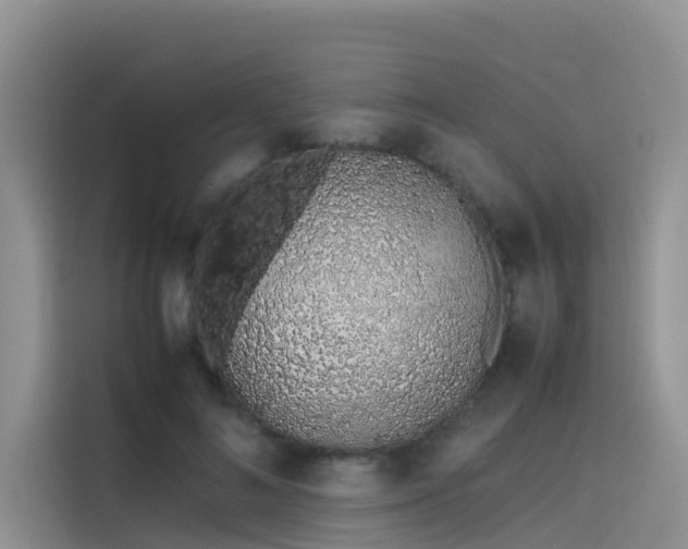 X0000115620692200911171316