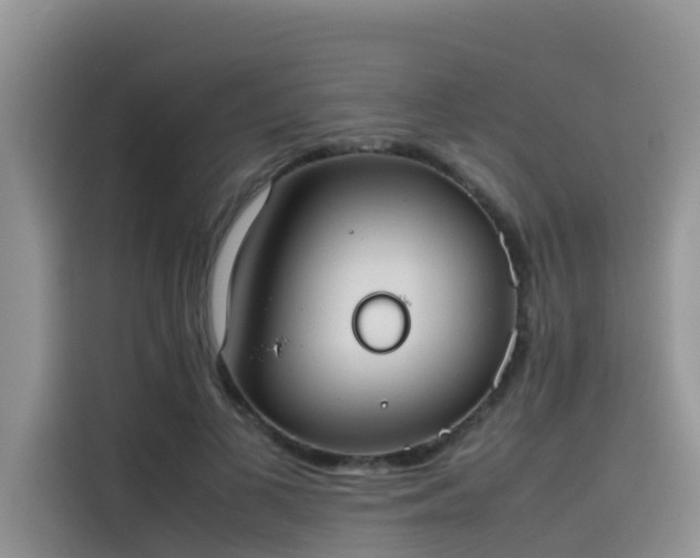 X0000115620693200911171316