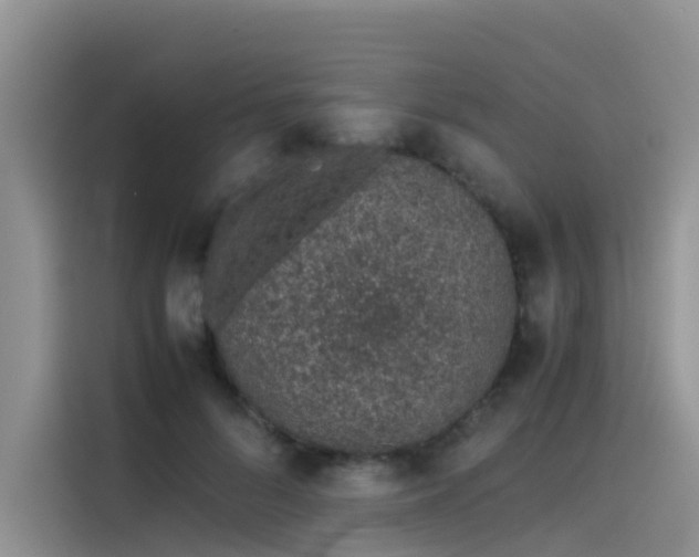 X0000115620696200911171316