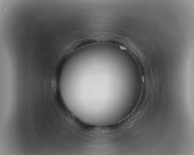 X0000115620697200911171316