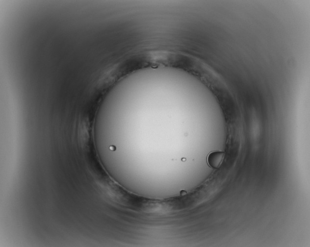 X0000115620702200911171316