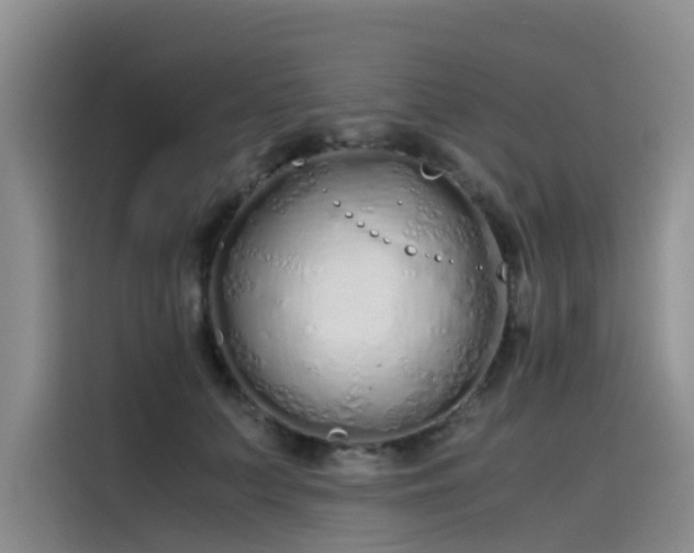 X0000115620703200911171316