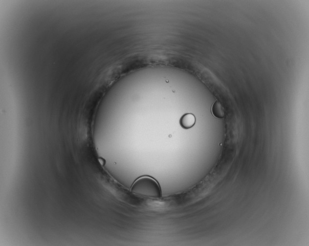 X0000115620706200911171316