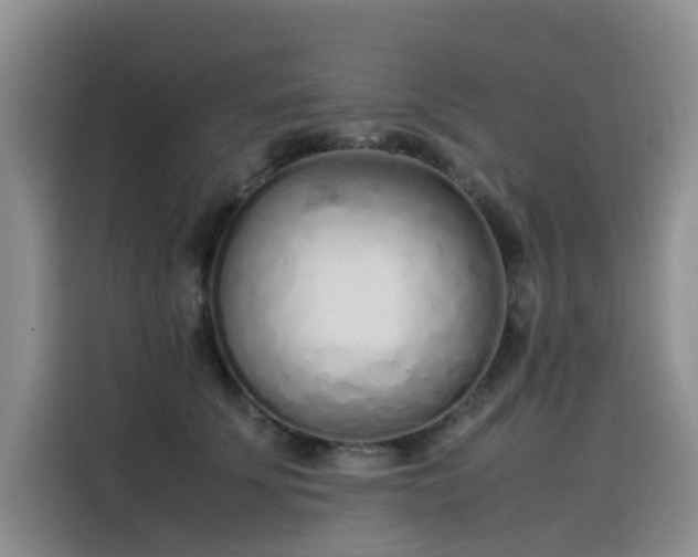 X0000115620707200911171316