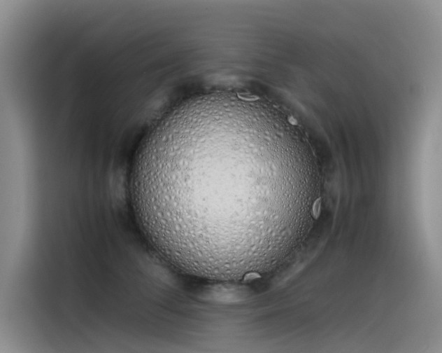 X0000115620708200911171316