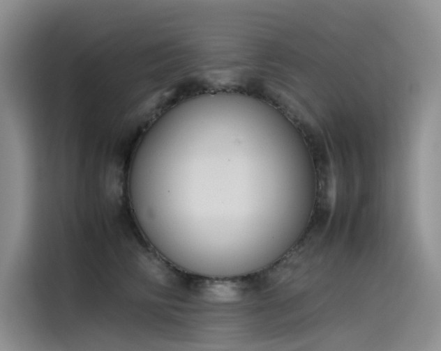 X0000115620710200911171316