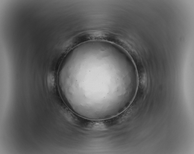 X0000115620715200911171316