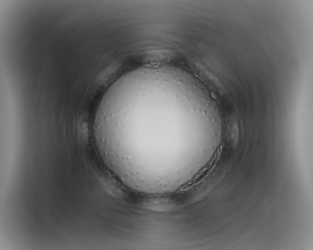 X0000115620716200911171316