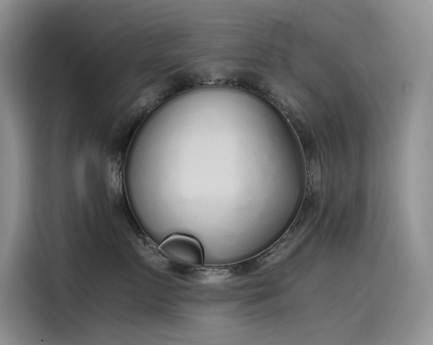 X0000115620719200911171316