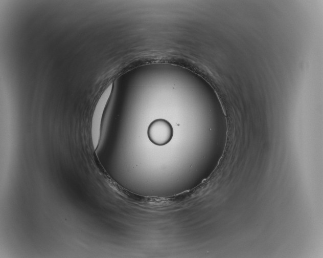 X0000115620720200911171316