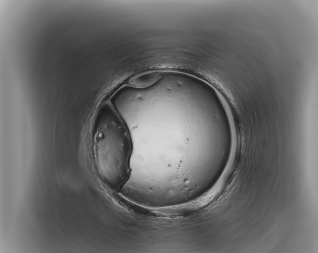 X0000115620721200911171315