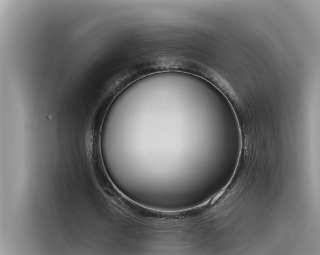 X0000115620722200911171315