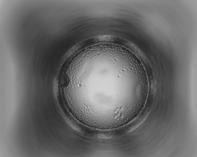 X0000115620725200911171315