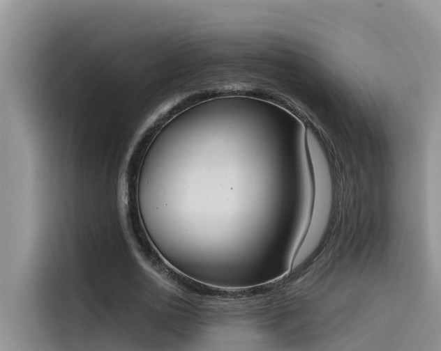 X0000115620726200911171315