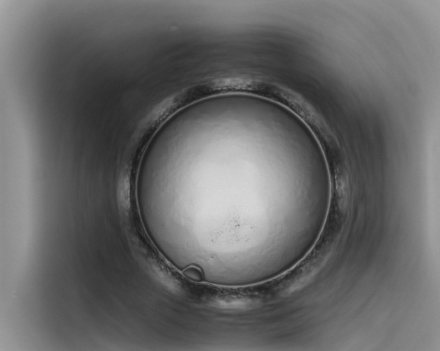 X0000115620729200911171315