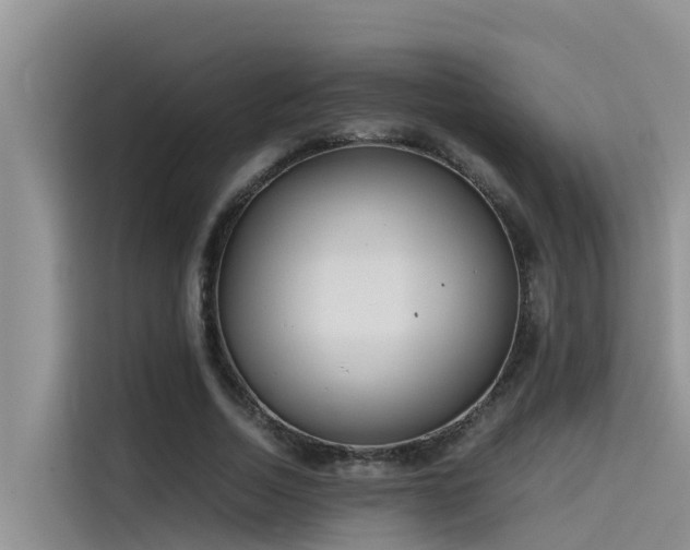 X0000115620730200911171315