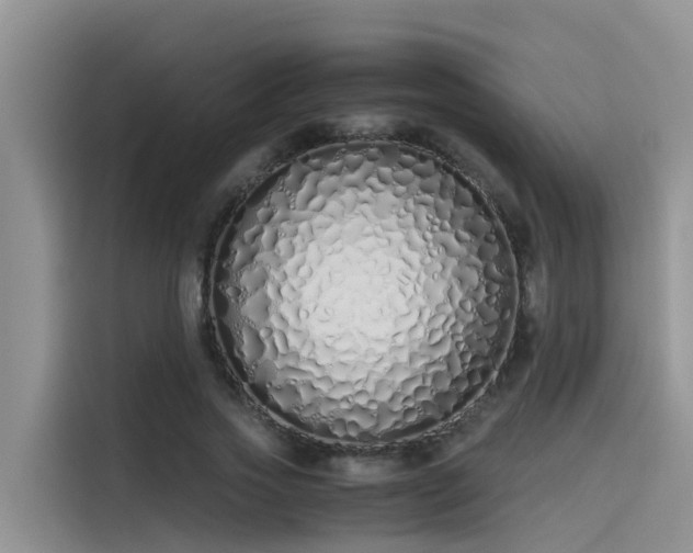 X0000115620733200911171315