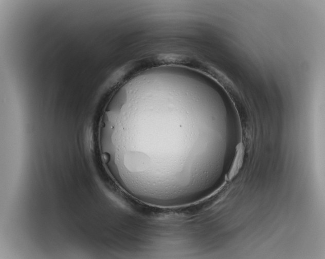 X0000115620734200911171315