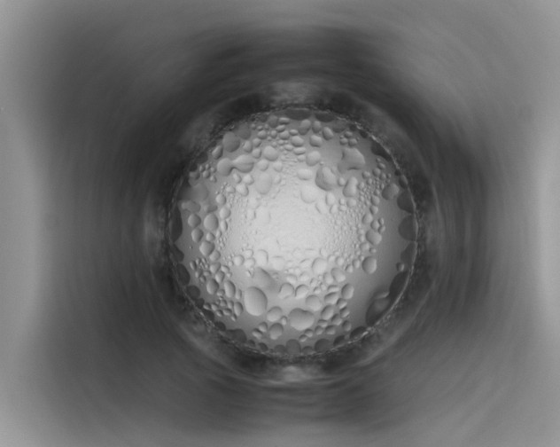 X0000115620737200911171315