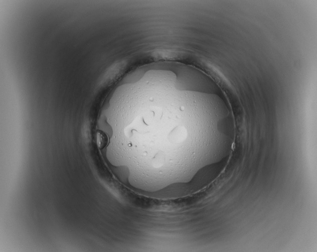 X0000115620738200911171315