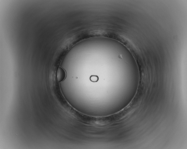 X0000115620739200911171315