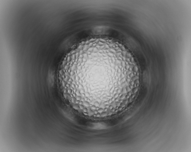 X0000115620741200911171315